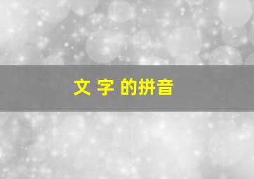 文 字 的拼音